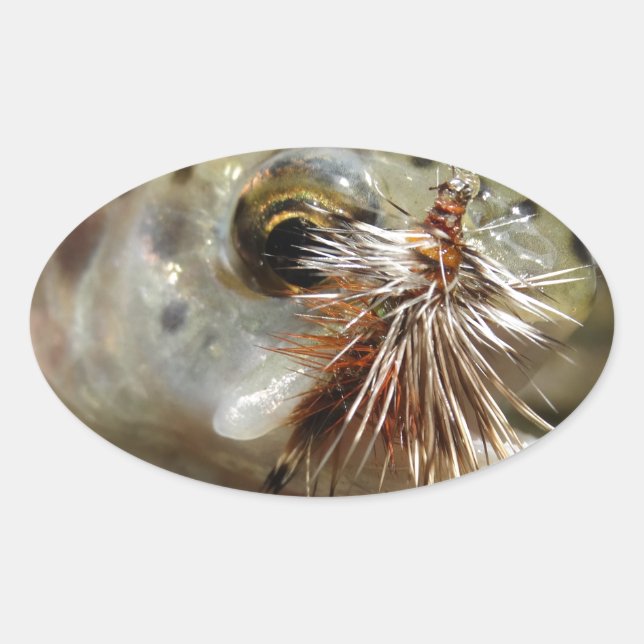 Rainbow Trout photo Oval Sticker (Front)