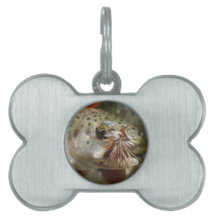 Rainbow Trout photo Pet ID Tag