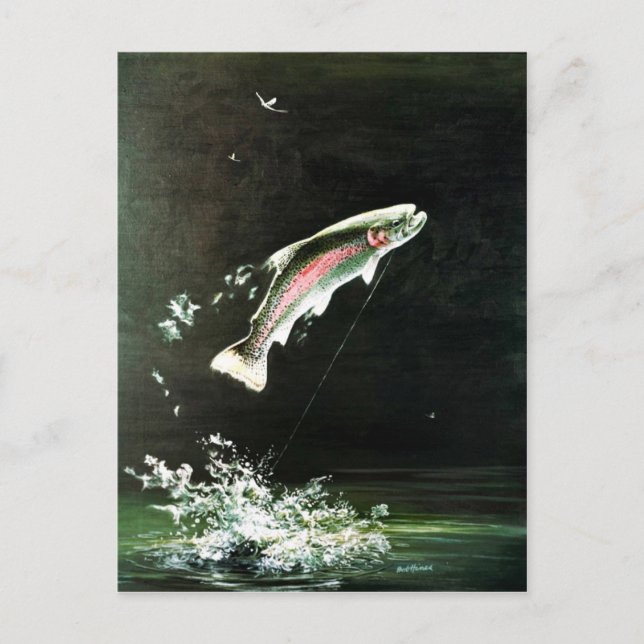 Rainbow Trout Postcard (Front)
