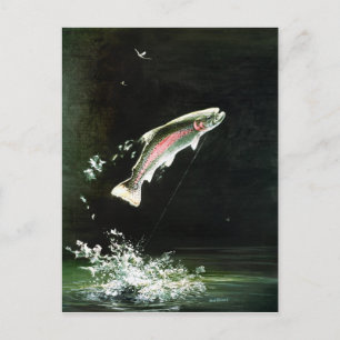 rainbow trout postcard