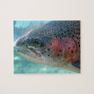 Rainbow Trout Puzzle
