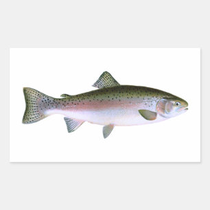 Rainbow Trout Rectangular Sticker