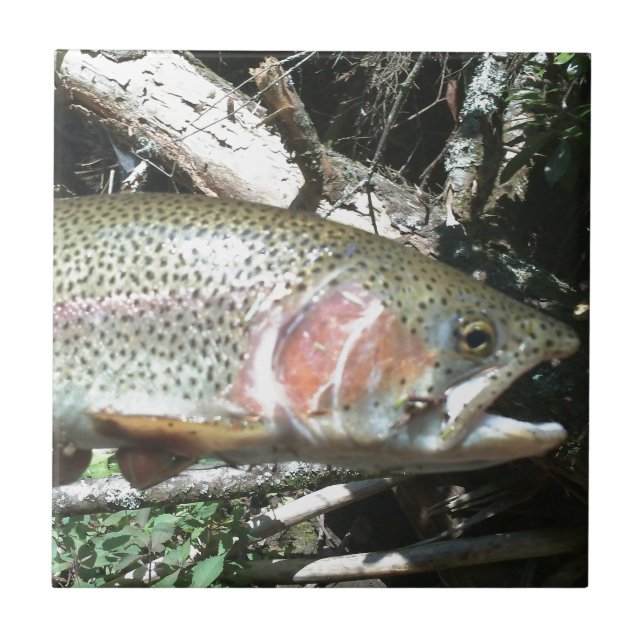 Rainbow trout tile (Front)