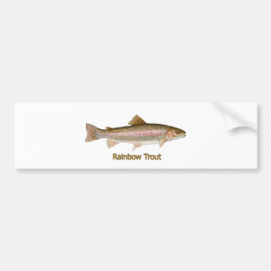 Rainbow Trout (titled) Bumper Sticker