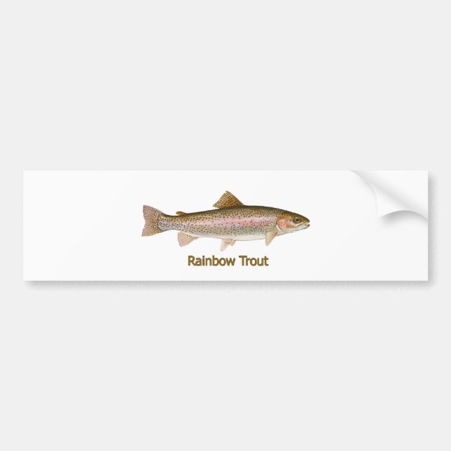 Rainbow Trout (titled) Bumper Sticker (Front)