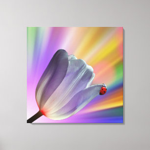 Rainbow, Tulips and Ladybug Canvas Print