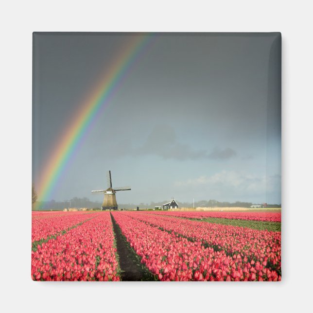 Rainbow, tulips and windmill magnet (Front)