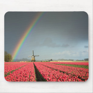 Rainbow, tulips and windmill mousepad