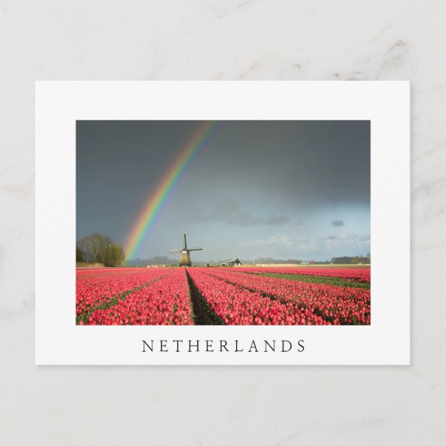 Rainbow, tulips and windmill Netherlands postcard (Front)