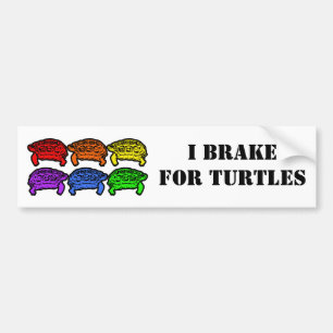 Rainbow Turtles Bumper Sticker