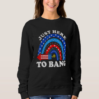 Rainbow Usa Flag 4th Of July Fireworks I'm Just He Sweatshirt