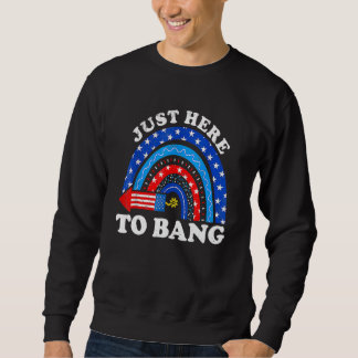 Rainbow Usa Flag 4th Of July Fireworks I'm Just He Sweatshirt
