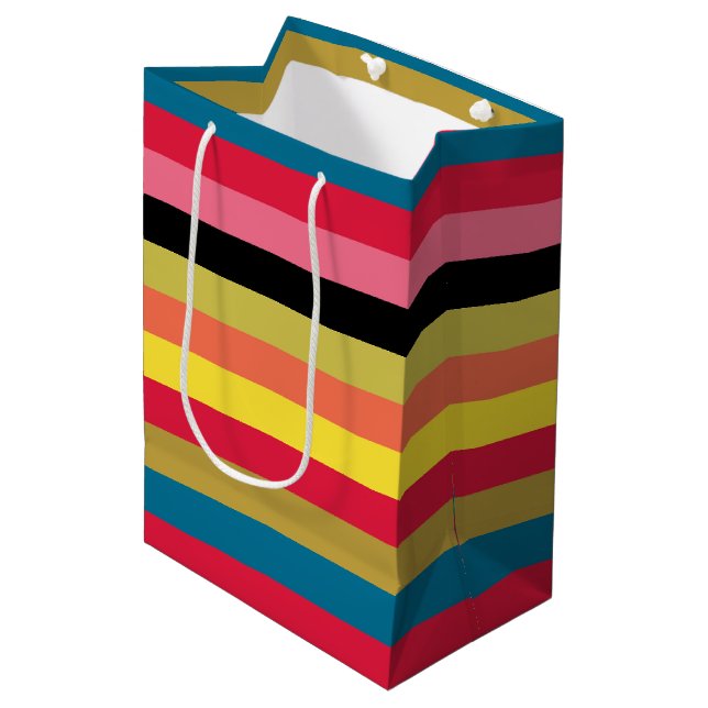 Rainbow Waterfall Stripes Medium Gift Bag (Front Angled)