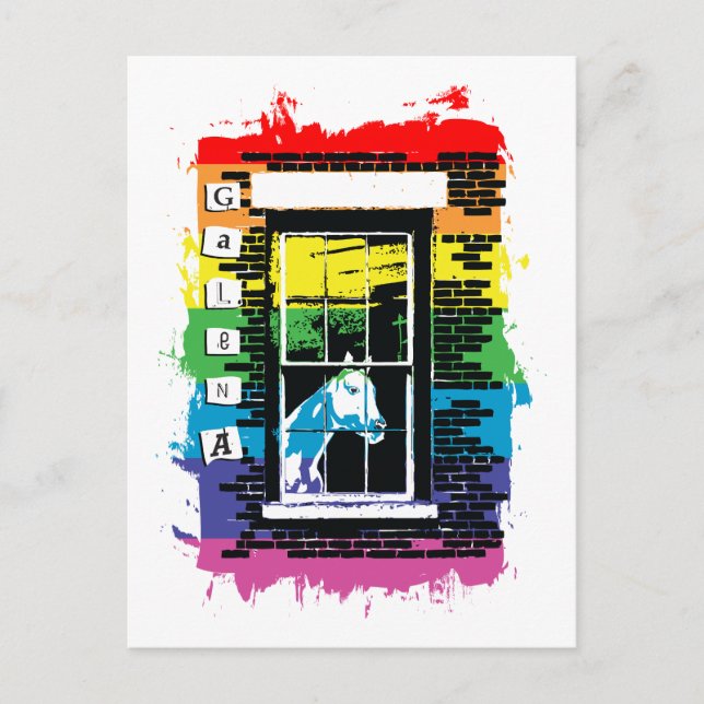rainbow window horse galena postcard (Front)