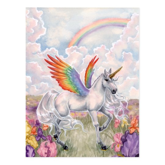 Rainbow Wings Postcard