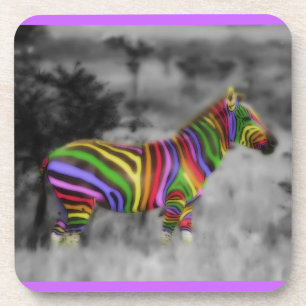 Rainbow Zebra Coaster