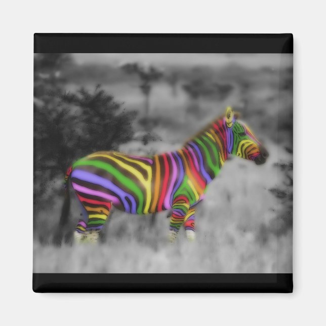 Rainbow Zebra Magnet (Front)