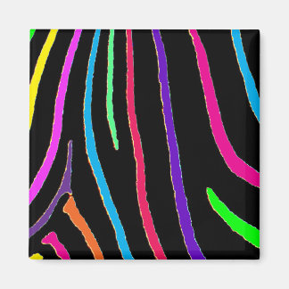 Rainbow Zebra Print Magnet