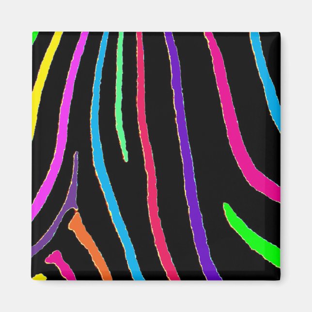 Rainbow Zebra Print Magnet (Front)