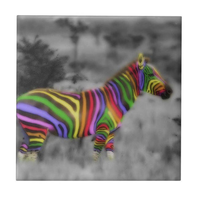 Rainbow Zebra Tile (Front)