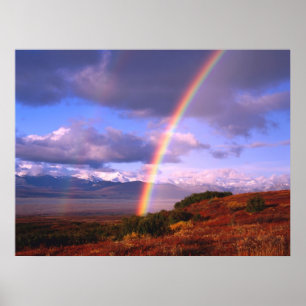 Rainbow's Beauty Poster