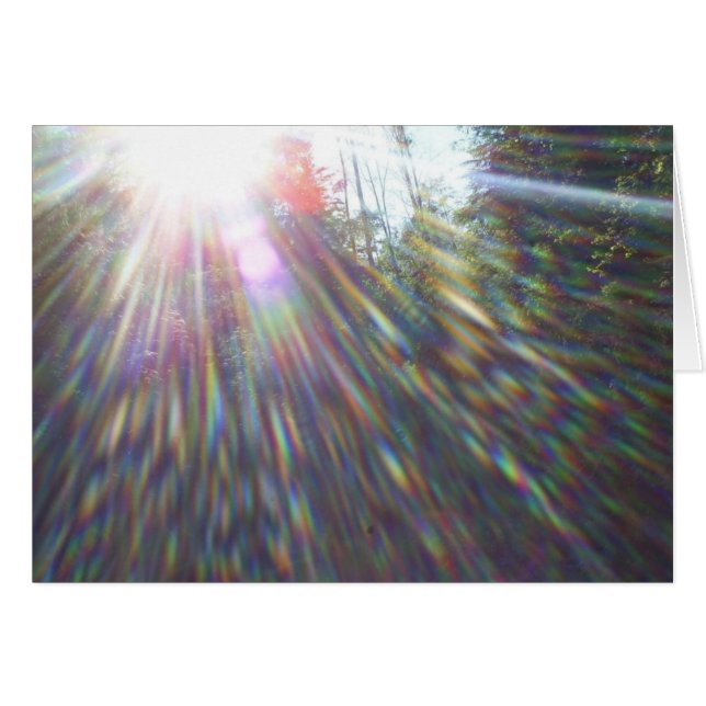 Rainbows in Trees (Front Horizontal)