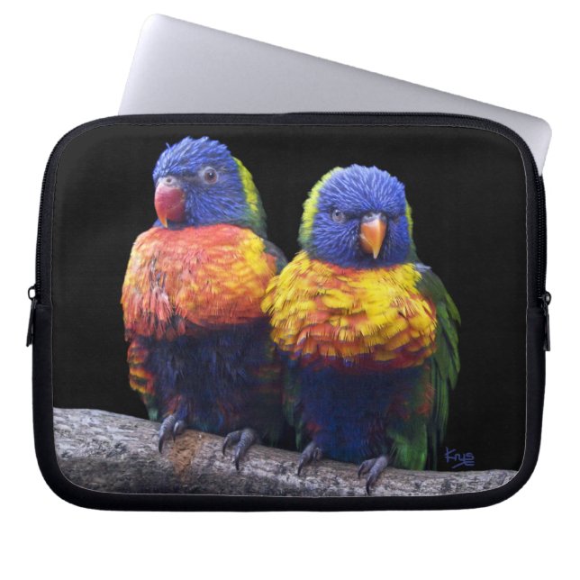 Rainbows Laptop Sleeve (Front)