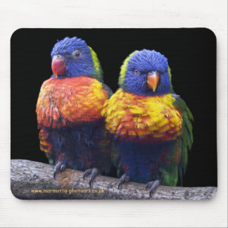 Rainbows Mousemat