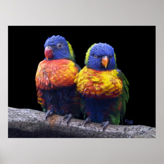 Rainbows Print