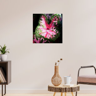 Raindrop on caladium poster / wall art