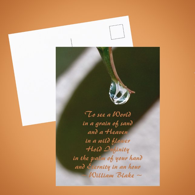 Raindrop on Leaf To See The World Blake Quote Postcard (Creator Uploaded)