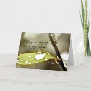 Raindrop on leaf, with quote: "A thing of beauty" Card