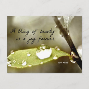Raindrop on leaf, with quote: "A thing of beauty" Postcard