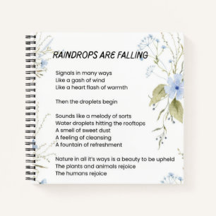 Raindrops are falling poem poetry notebook