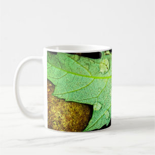 Raindrops on a Leaf Coffee Mug