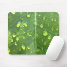 Raindrops on a Leaf