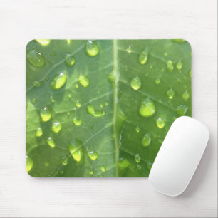 Raindrops on a Leaf Mouse Mat