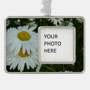 Raindrops on Daisies Wildflower Floral Silver Plated Framed Ornament