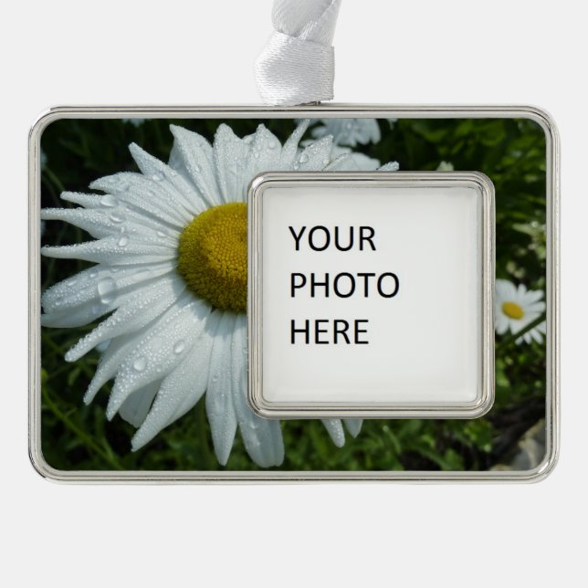Raindrops on Daisy II Wildflower Floral Silver Plated Framed Ornament (Front)