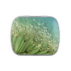 Raindrops on dandelions