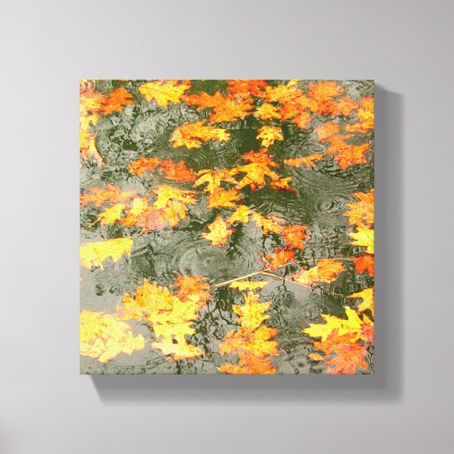 raindrops on fallen leaves wrapped canvas (Front)