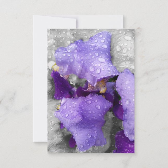 raindrops on iris (Front)