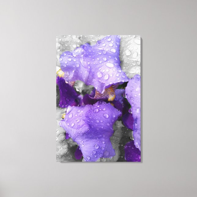 raindrops on iris canvas print (Front)
