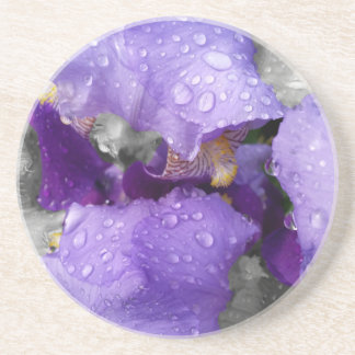 raindrops on iris coaster