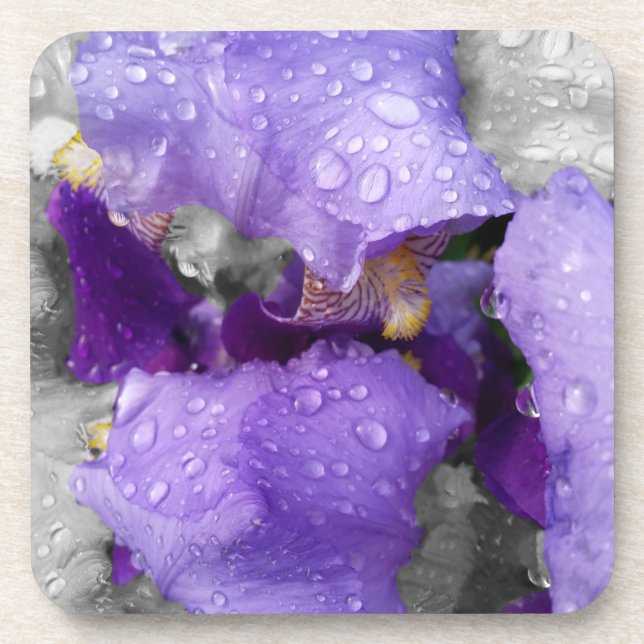 raindrops on iris coaster (Front)