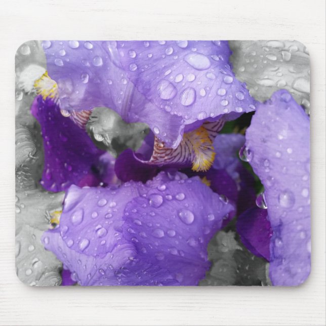 raindrops on iris mouse mat (Front)