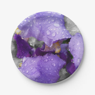 raindrops on iris paper plate