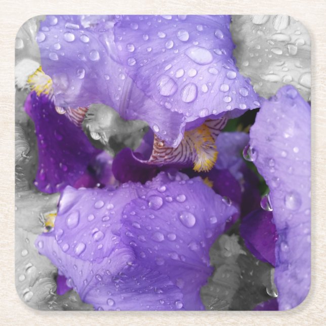 raindrops on iris square paper coaster (Front)