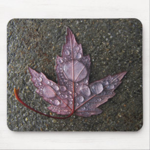 Raindrops on Leaf Mouse Mat