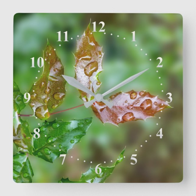 raindrops on leaves square wall clock (Front)